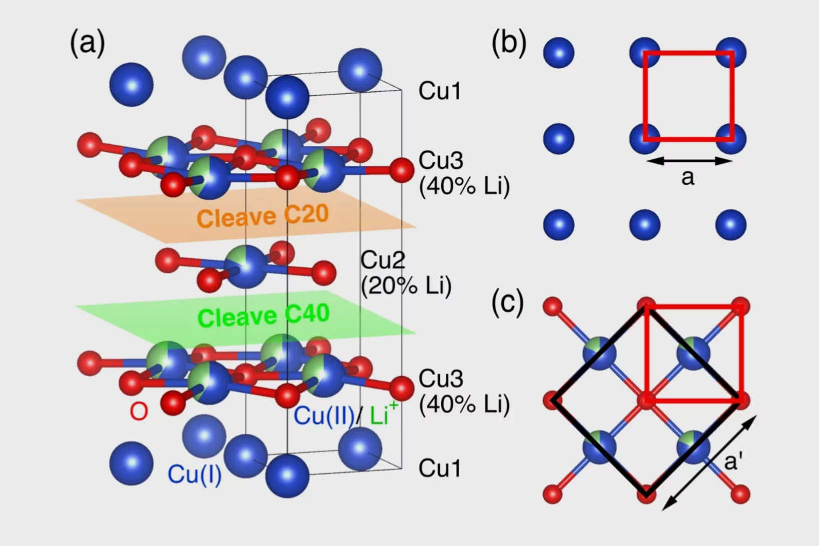 Consiglio et al