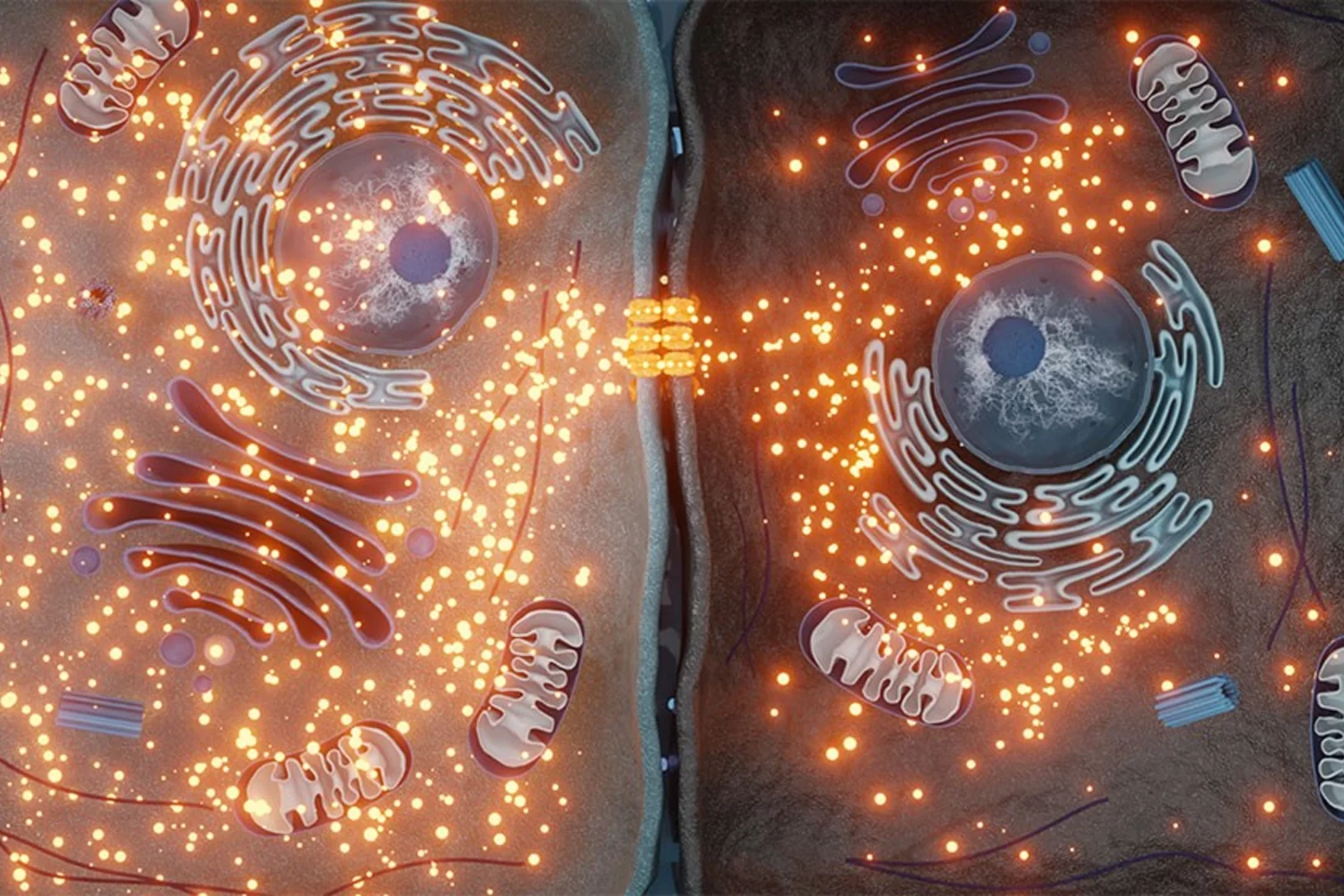 Hero: Slipping a note to a neighbour: the cellular way