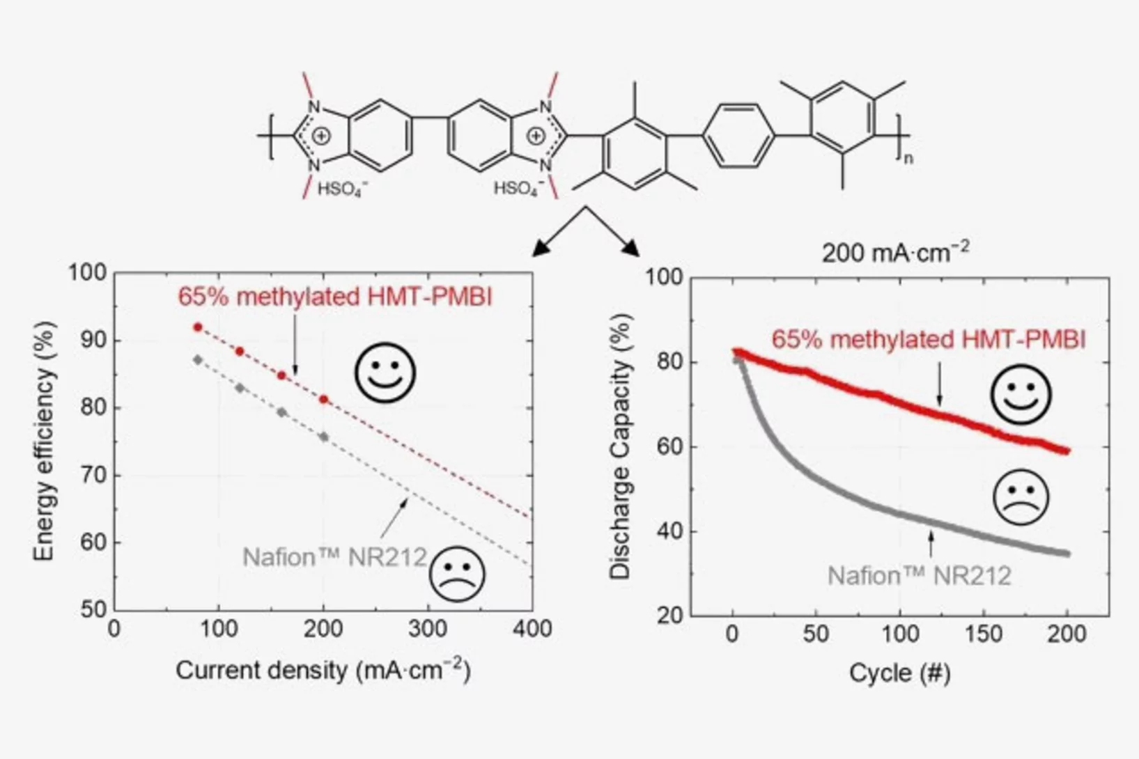 Hexamethyl-p-terphenyl polybenzimidazolium (HMT-PMBI) membranes for the vanadium redox flow battery (VRFB).