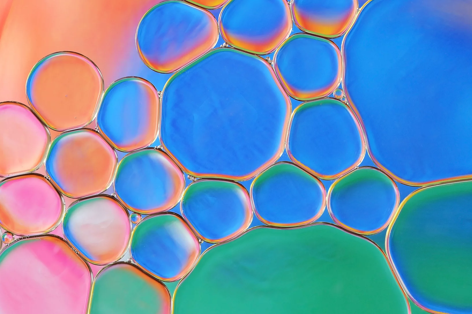 Within the cell, some proteins can condense into droplets: a concept known as liquid-liquid phase separation. While this enables important cellular functions, there has been speculation that it can also be a precursor to pathological protein aggregation. (Image: Adobe Stock)