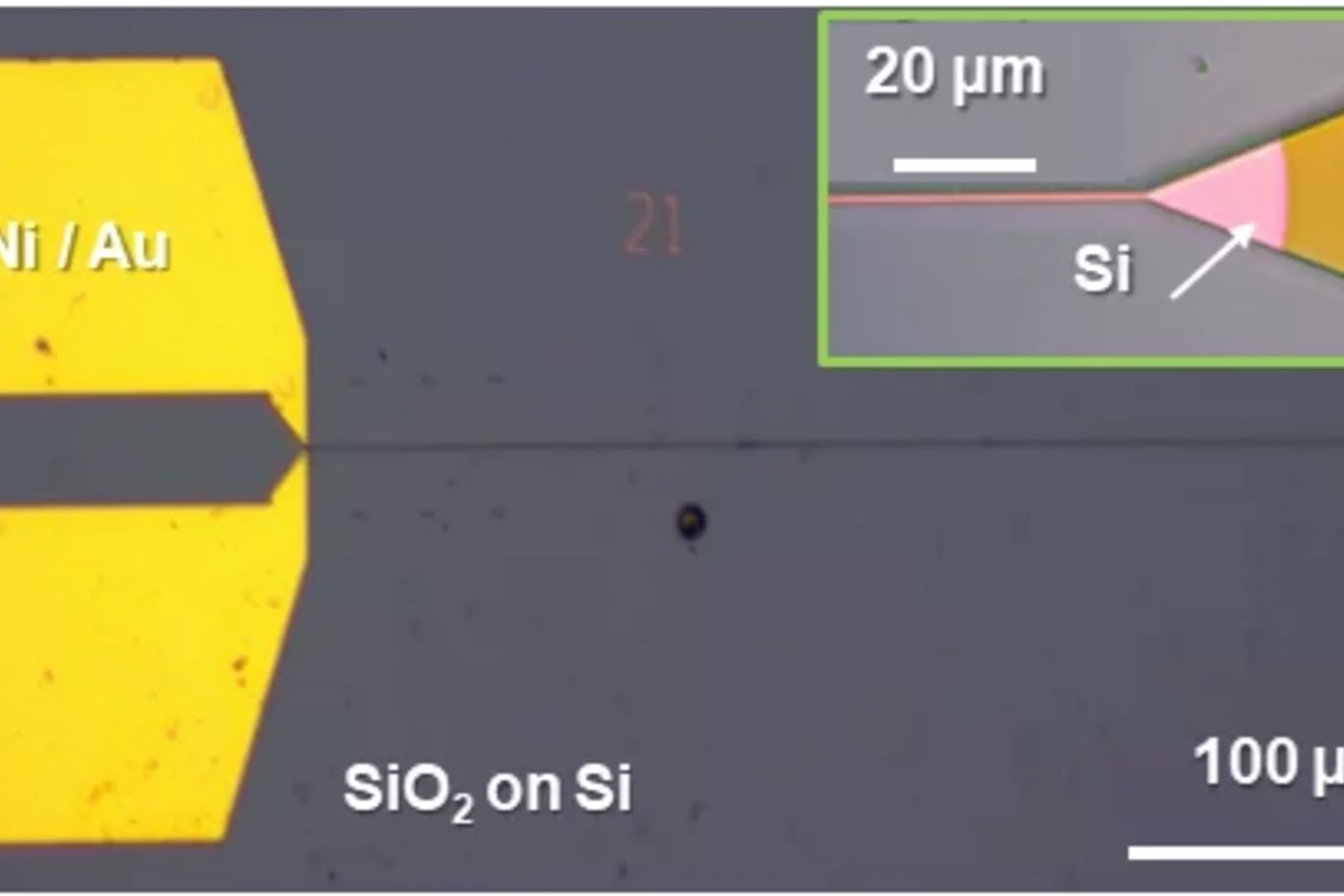 detector coupled