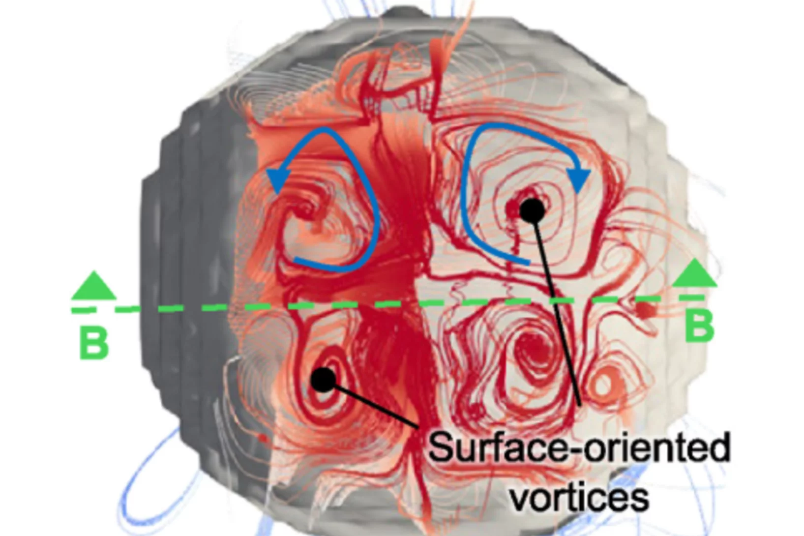 Vortices