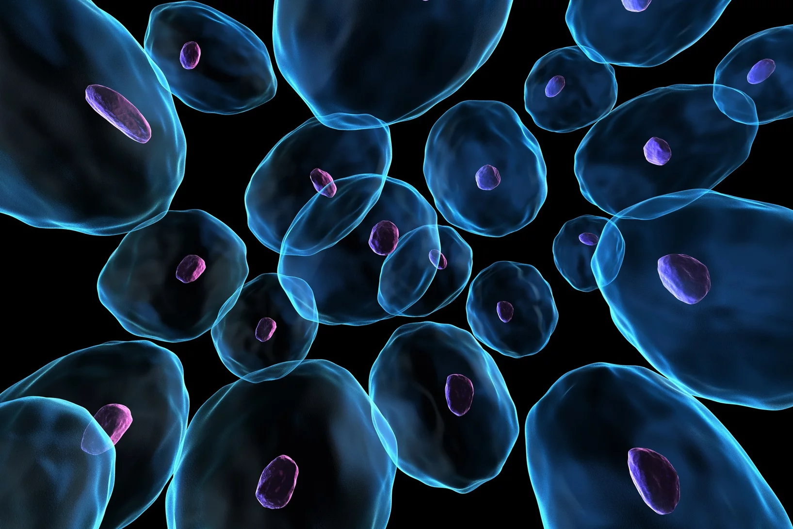 Chromatin