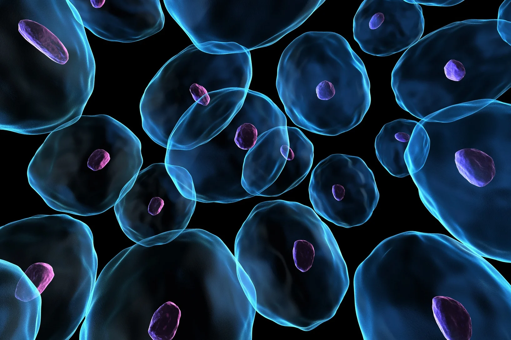 Un coup d'œil dans la cellule doit suffire - l'IA développée par les scientifiques du PSI détecte les troubles génétiques uniquement à partir de la structure de la chromatine dans le noyau cellulaire 