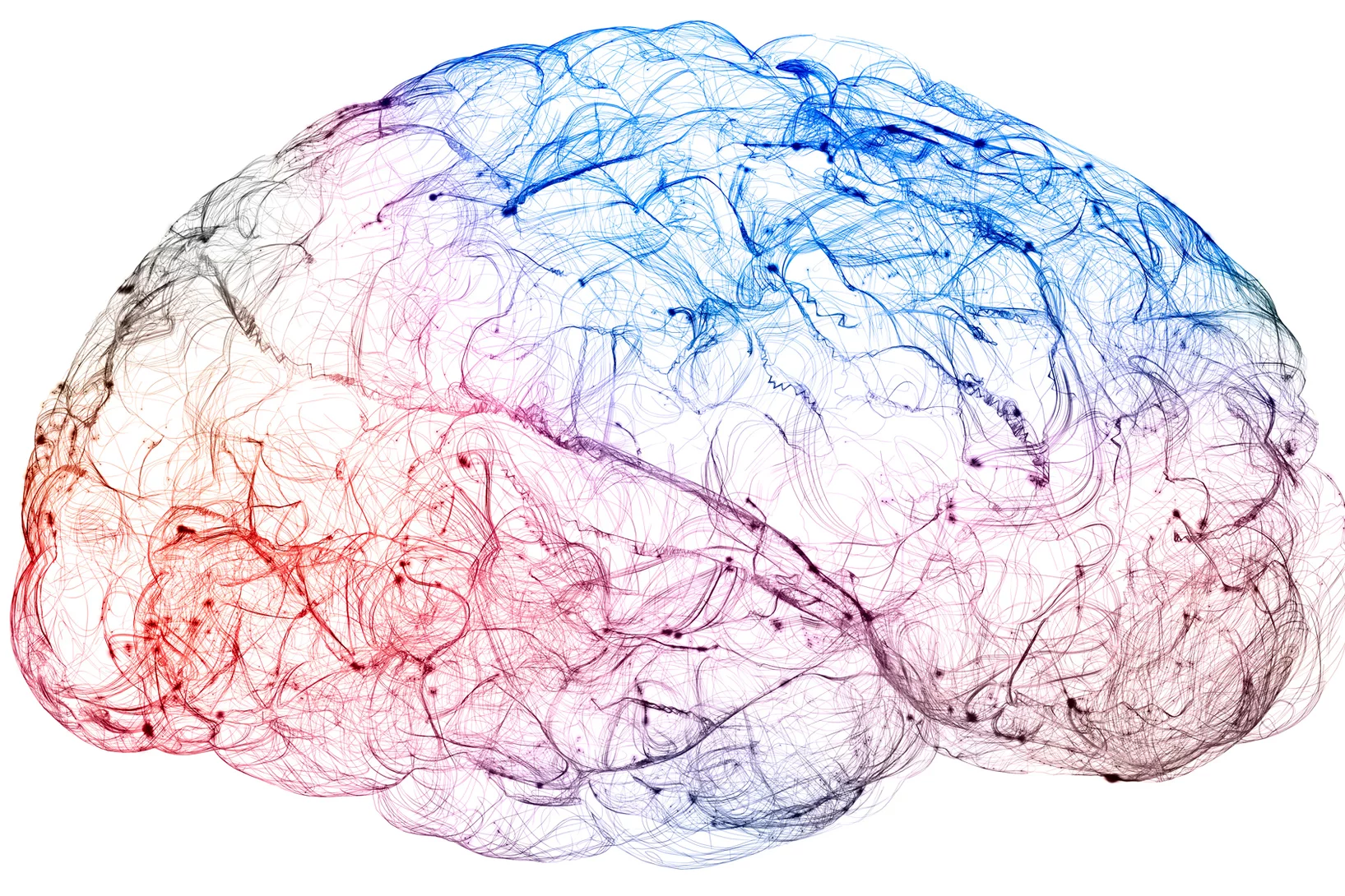One cubic millimetre of brain tissue contains about 100 000 neurons, connected through some 700 million synapses and 4 kilometres of ‘cabling’. This complex 3D wiring underlies brain function – yet is extraordinarily difficult to study. 