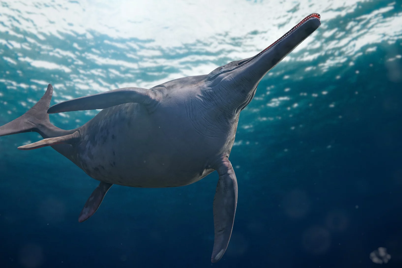 So könnte der lautlose Jäger aus der Jurazeit ausgesehen haben: Temnodontosaurus im Einsatz. © Adobe Stock