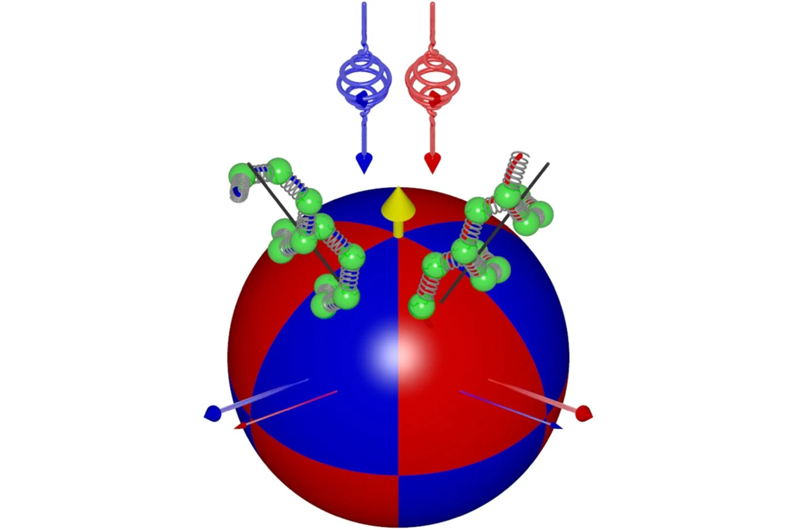 Sketch of reciprocal space showing regions where opposite-handed chiral phonons exist in LiNbO3, which can be probed by circularly polarized x-ray photons in a resonant inelastic x-ray scattering. 