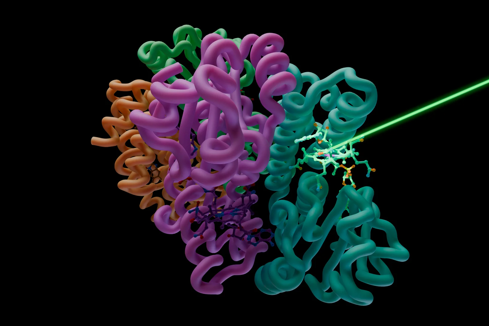 A vitamin B12 chromophore within the bacterial photoreceptor CarH is activated by an intense pulse of visible laser light and following structural changes visualized in real time by serial femtosecond crystallography at the SwissFEL Cristallina endstation. 