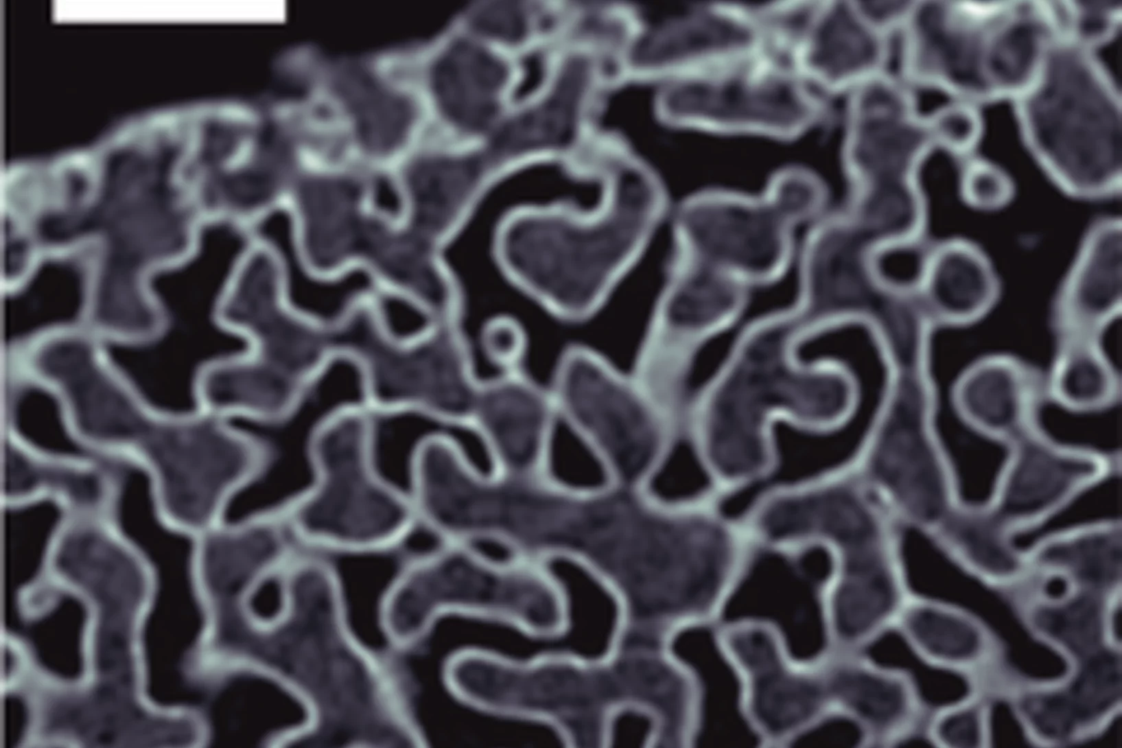 igp 240 igp 578x527  Ta2O5.png