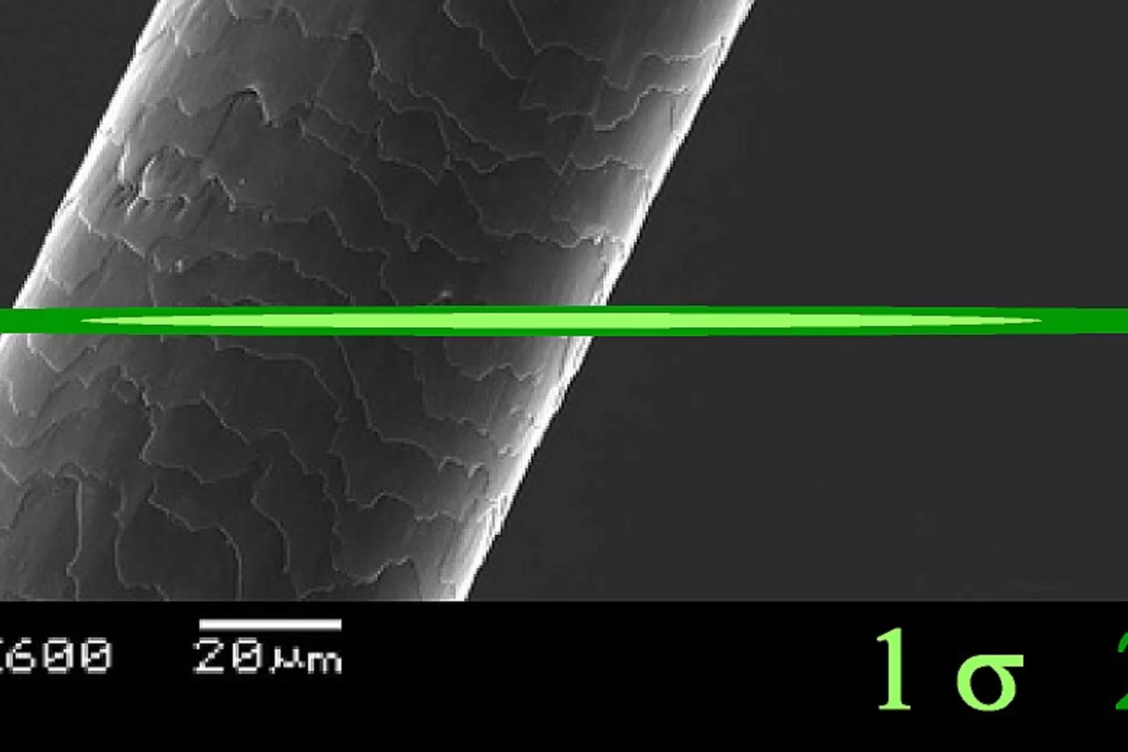 Beam cross section in comparison to a human hair