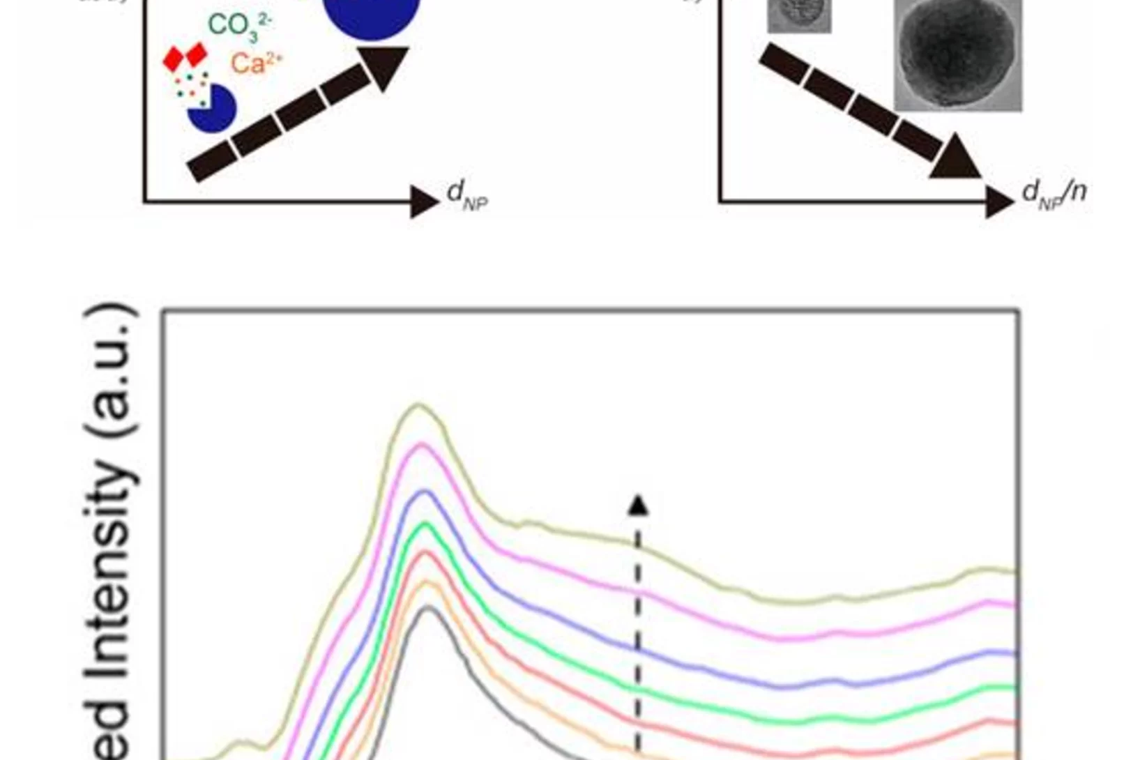 Top: schematic illustration of the growth of ACC particles and their transformation into crystals. Bottom: the Ca K-edge XANES spectra of ACC particles at different temperatures. ACS AuthorChoice publication