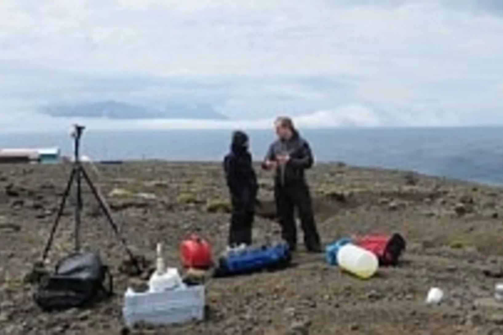 Blog4 2 Possession teaser.jpg