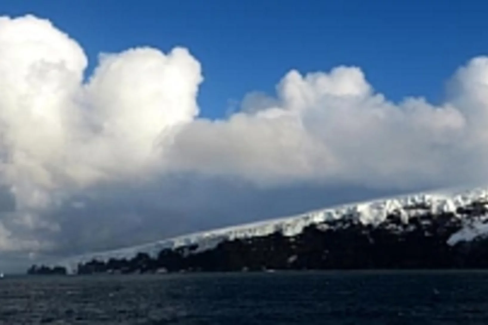 Blog13 Bouvet teaser.jpg