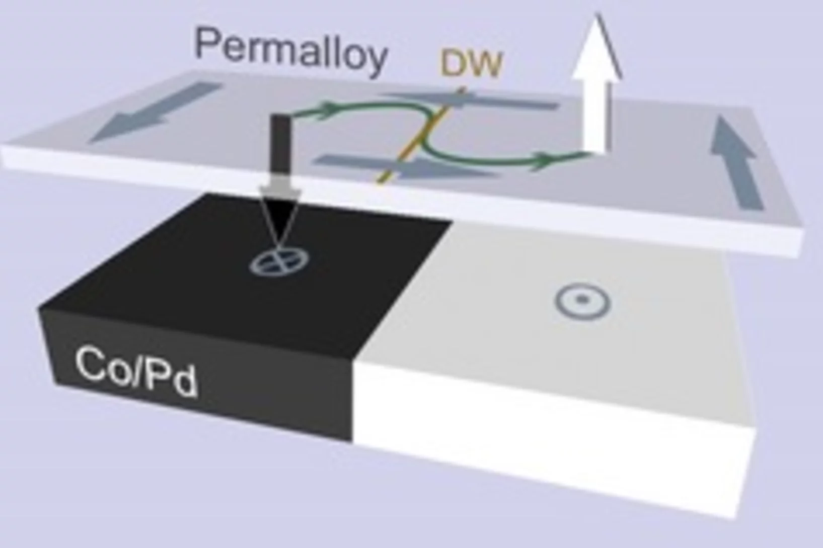Wohlhueter NatCommun BC reversal LMN.jpg