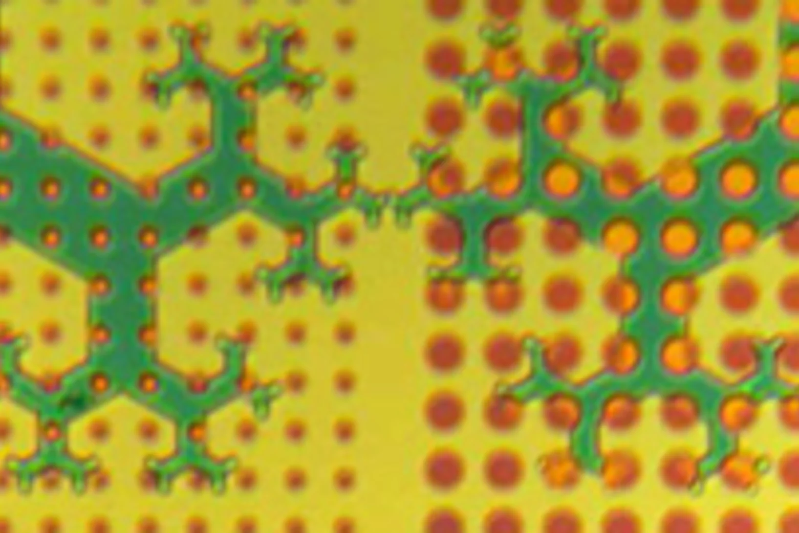 teaser poly nano.jpg