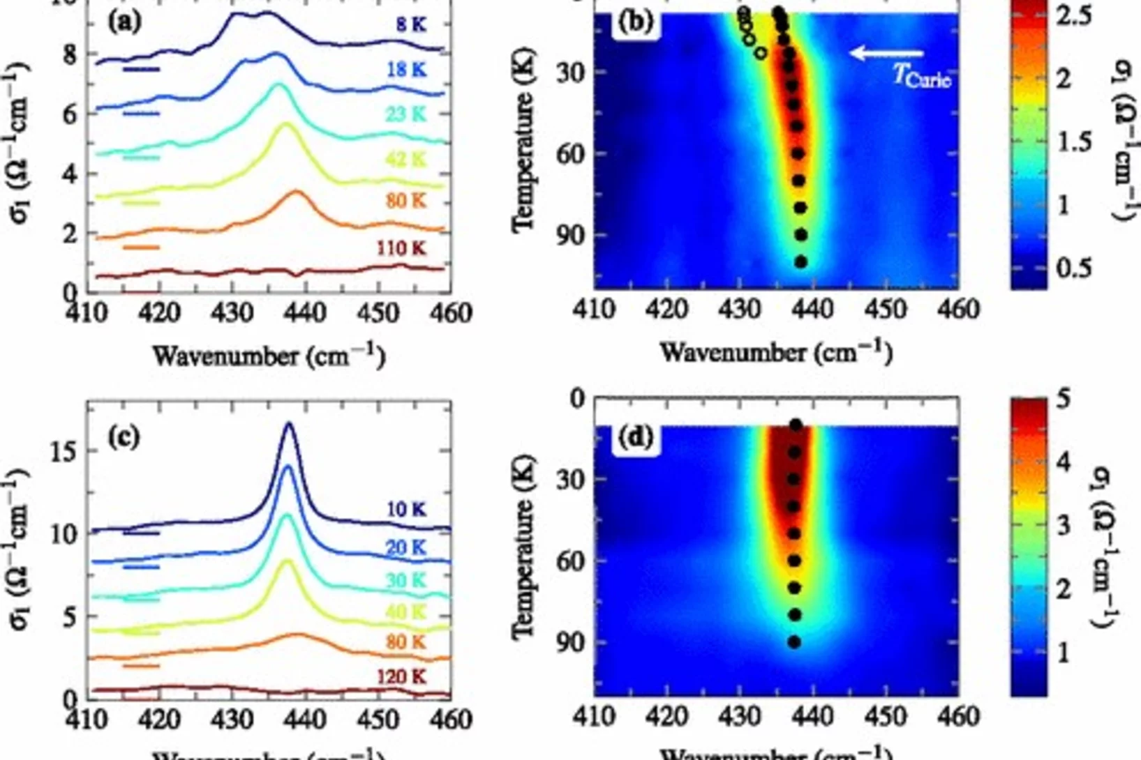 (a), (b) IR spectra showing the T dependence of the R mode in a SrTi18O3 single crystal with a ferroelectric transition at TCurie=23  K. (c), (d) Corresponding spectra of quantum paraelectric SrTi16O3.