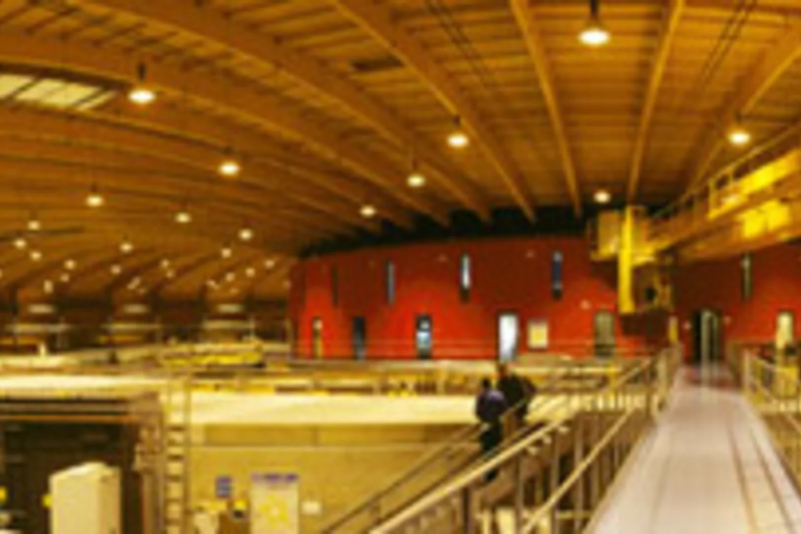 MM100208 Magnet tn.jpg