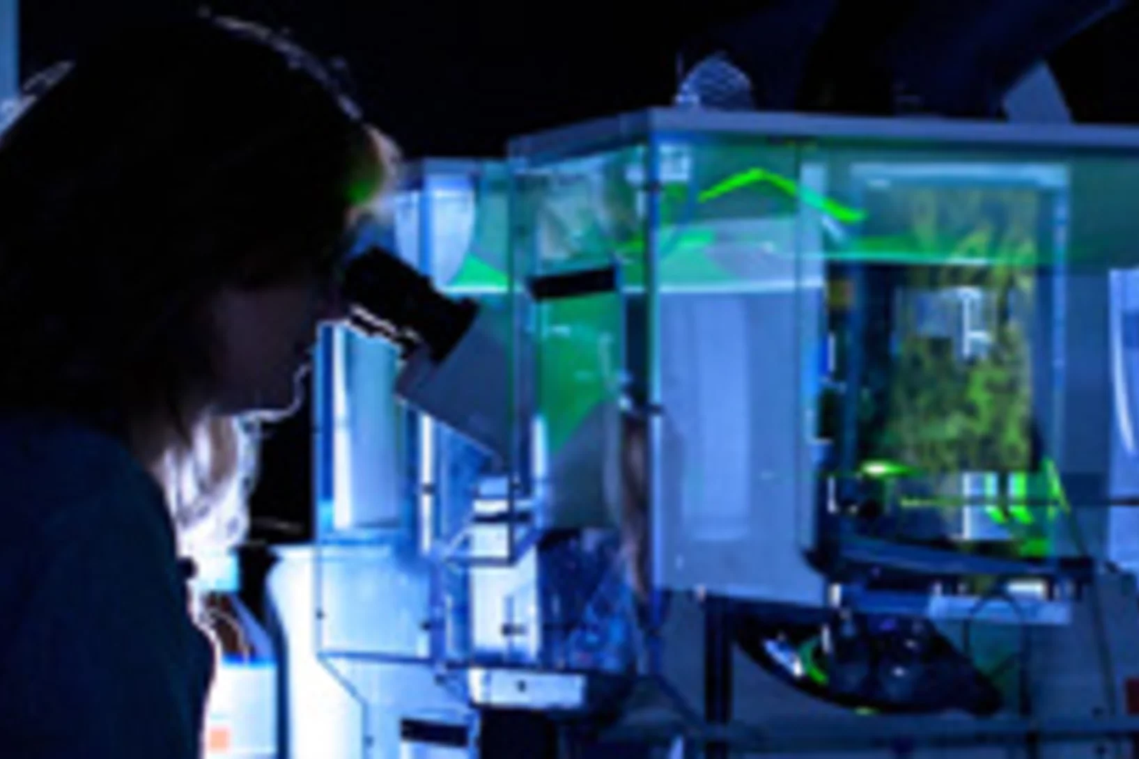 20101110 Biomolecular Research 0009 tn.jpg