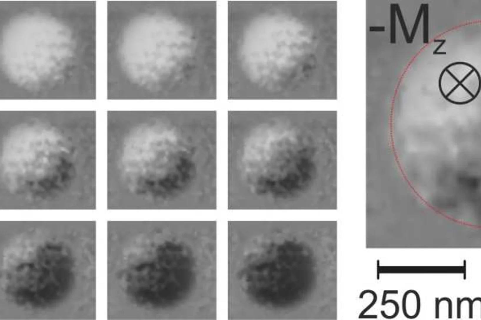 Magnetisation switching of a 500 nm diameter Pt/Co/AlOx disc.