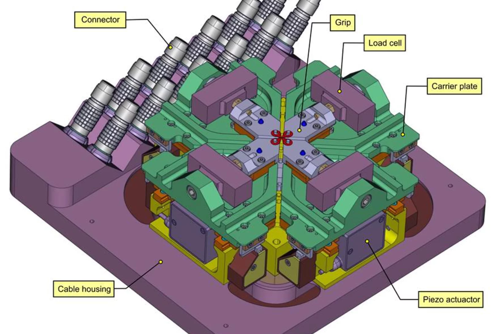 Simulated strain distribution in a polymer reinforced Al cruciform sample subjected an equibiaxial load