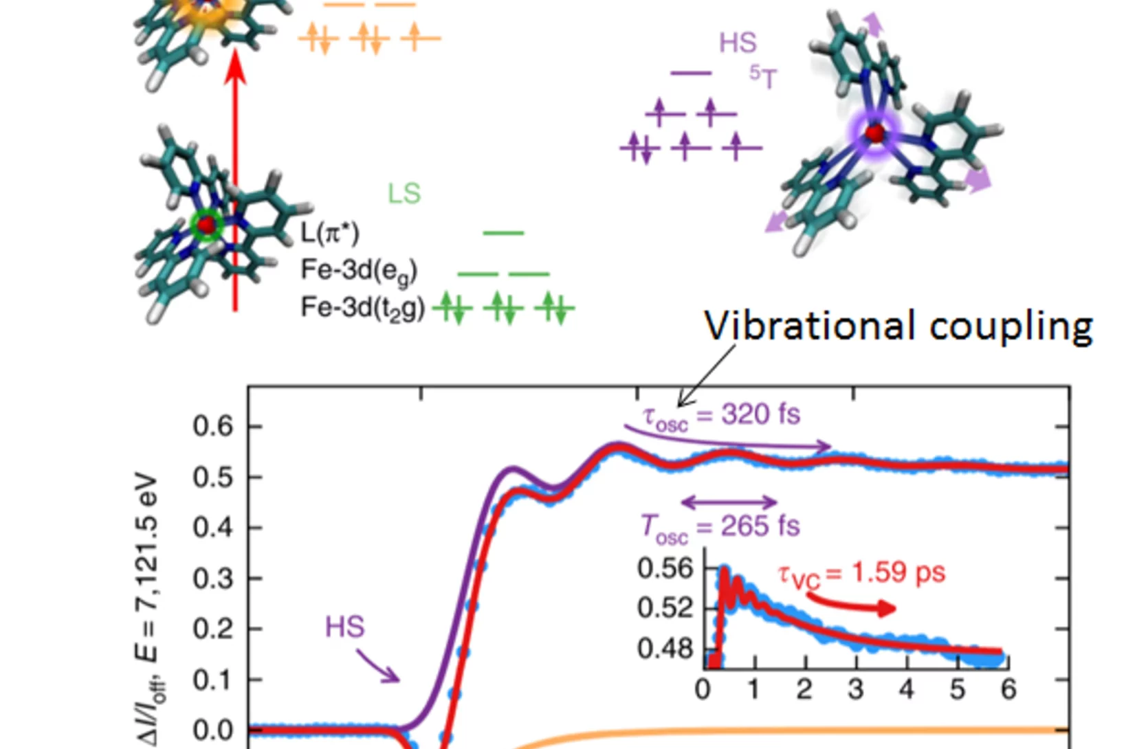 Electronic and structural transition on time domain: After excitation to charge transfer state (MLCT) the Fe(bpy)3 complex (negative amplitude signal) gets trapped in magnetic switched state  (positive amplitude signal), and executes coherent “breathing-like” motions.