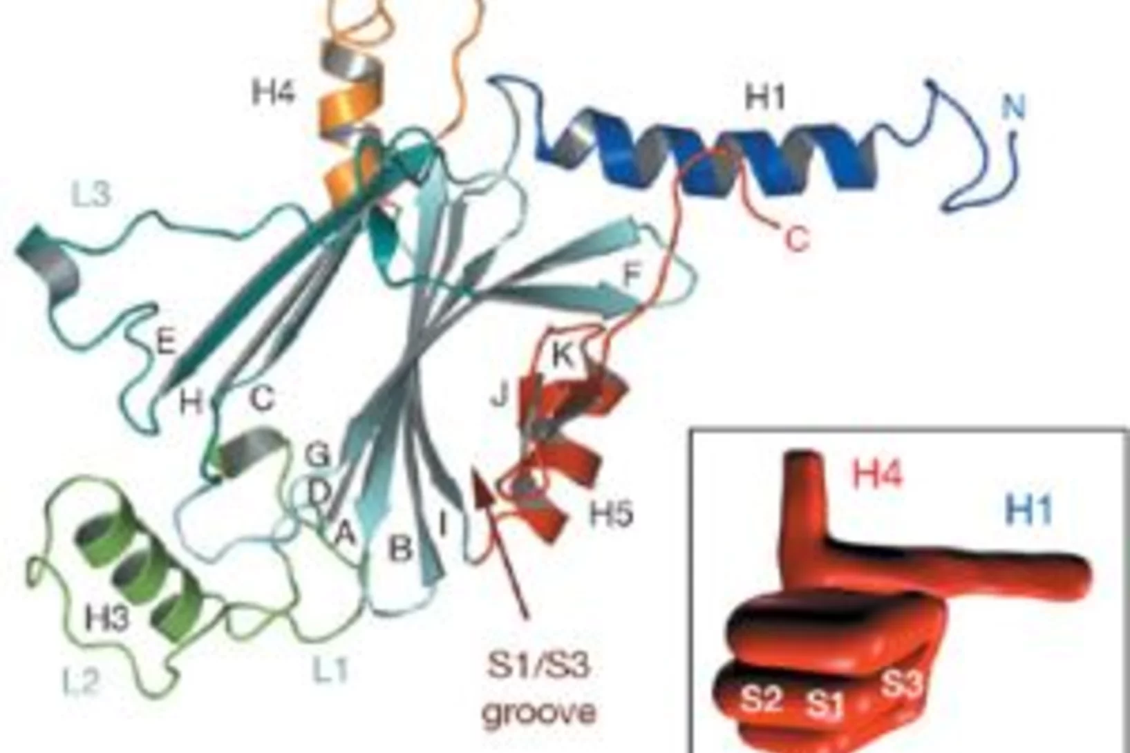 Highlight Cypovirus small.jpg