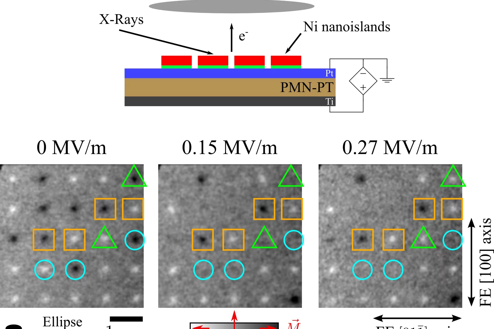 (top) Schematic view of the X-PEEM experiment with in-situ applied electric fields performed at the SIM beamline of the Swiss Light Source. (bottom) X-PEEM images of an array of nickel nanoislands showing a uniform 90° in-plane magnetization reorientation (highlighted with blue circles).