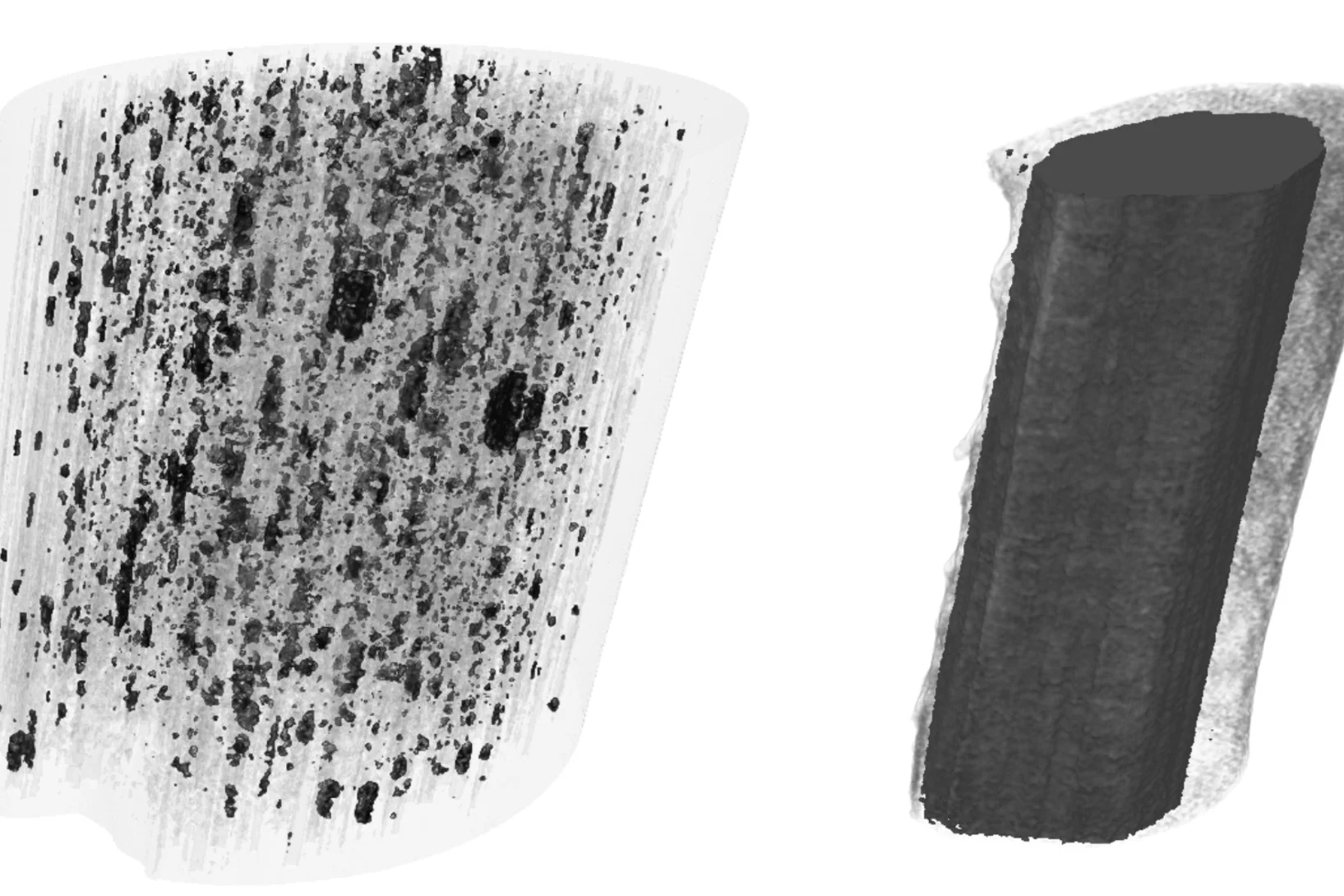 (top) 3D rendering of density distribution within carbon fibers, where high- and low-density regions are shown in black and in a semitransparent gray tone, respectively. On the left we show a fiber of 25 µm diameter, and on the right a 10 µm-diameter fiber made from a different precursor. Remarkable differences are observed between the two fibers.