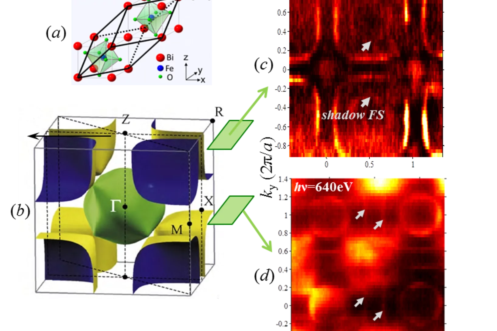 (a) Rhombohedral distortion of the pseudocubic La1−xSrxMnO3 lattice; (b) GGA+U theoretical FS; (c,d) Experimental FS cross-sections, with the shadow contours manifesting the lattice distortion.