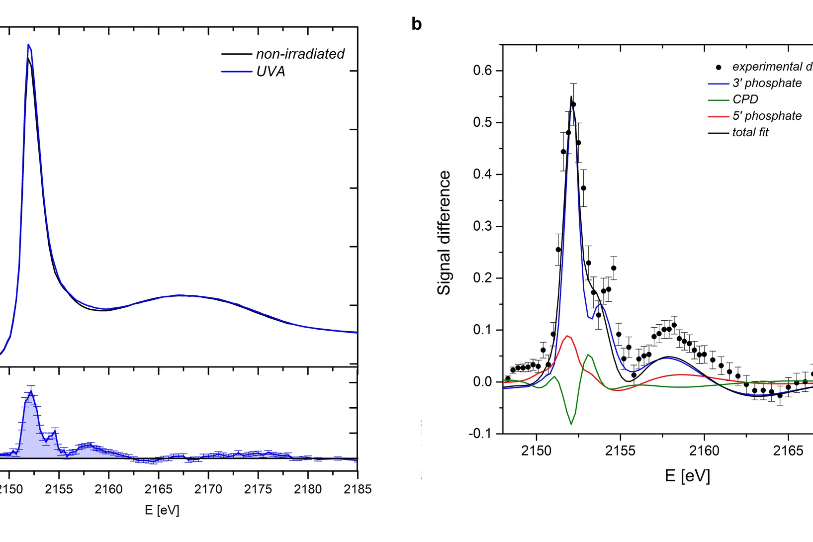(a) Top: phosphorus K-edge x-ray absorption spectra of intact and UVA-irradiated aqueous DNA samples. Bottom: P K-edge XAS difference signal between the spectrum of damaged and reference DNA samples. (b) Experimental difference of P K-edge XAS obtained for a UVA-irradiated DNA sample fitted with a linear combination of theoretical lesion spectra.