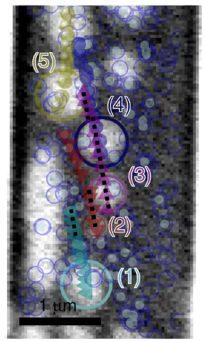 Skyrmion Motion vs Nucleation sites
