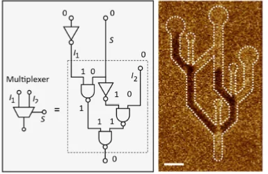Domain wall logic gate