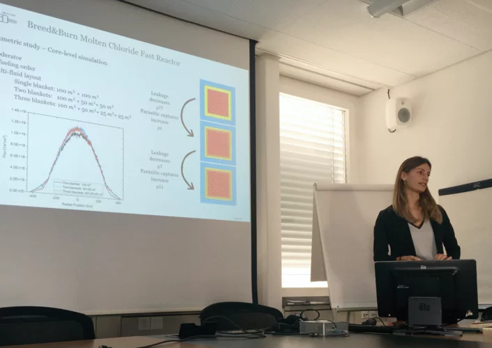 Valeria Raffuzzi / MS thesis defense