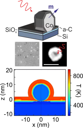 Single femtosecond laser pulse excitation of individual cobalt  nanoparticles