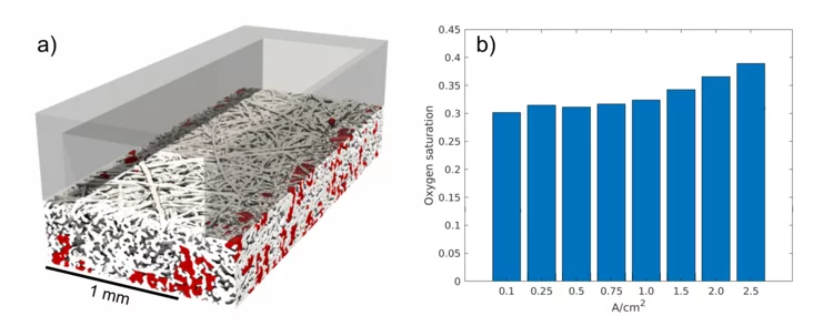 Three-dimensional rendering from the tomographic data acquired while the cell was operating