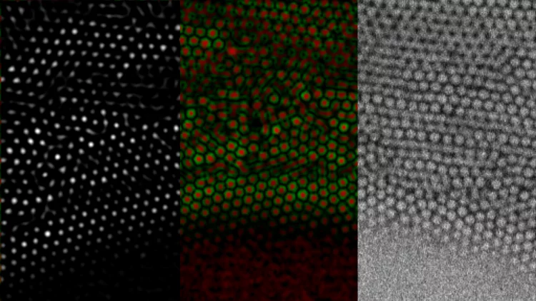 particle-detection
