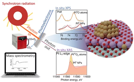 The evolution of atomically dispersed platinum species on ceria has been investigated by means of ambient pressure X-ray photoelectron spectroscopy and X-ray absorption near edge structure spectroscopy. Experimental results, supported by the theoretical simulation of the phase diagram, show that atomically dispersed species evolve towards nanoparticles during the activation of the catalysts. Such an evolution is influenced by the temperature and the reaction environment. 