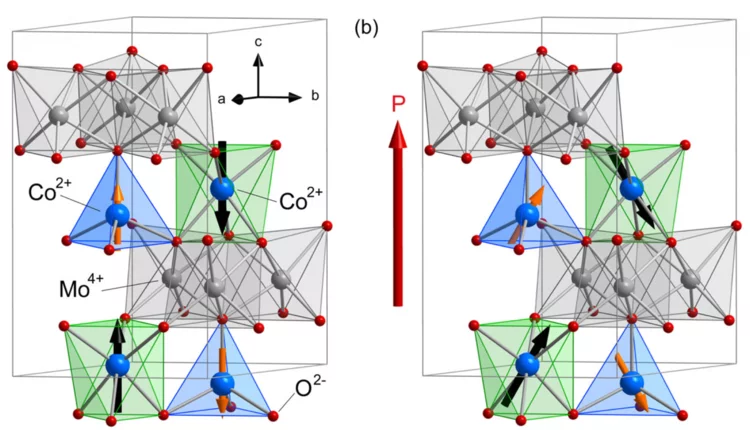 Reschke et al npj