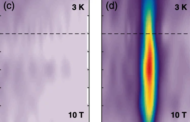 Choi et al