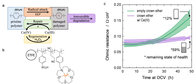 Catalytic_damage_repair_cycle