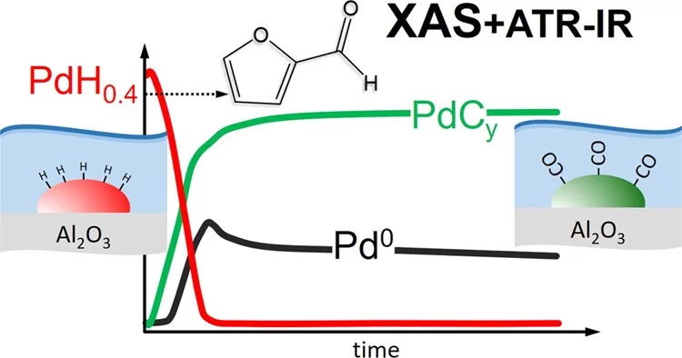 Pd Hydrides on Pd/Al2O3 in Liquid Environment