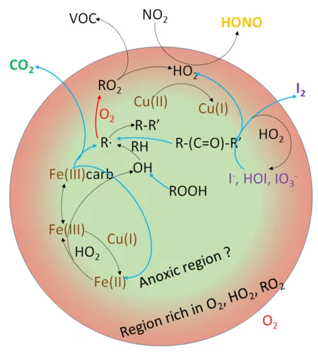 Aerosol Multiphase Photochemistry