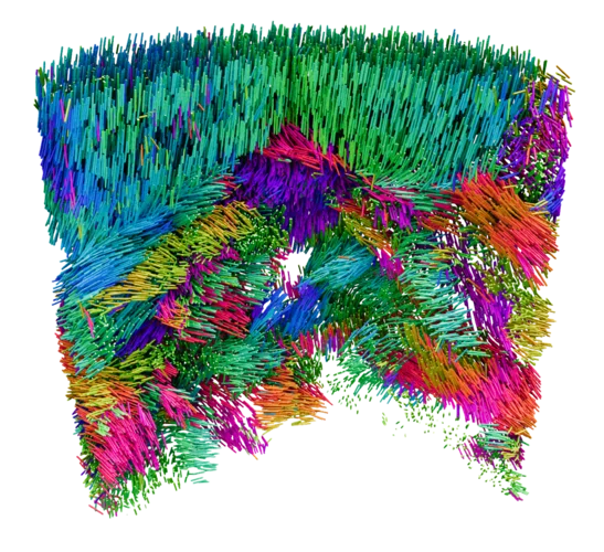 Many functional materials are composed of coherent domains or grains, where molecules and atoms are arranged in a repeating pattern that determines performance. X-ray Linear Dichroic Orientation Tomography (XL-DOT) allows 3D mapping of material microstructure at the nanoscale. Here, the technique is applied to a pillar of vanadium pentoxide catalyst, used in the production of sulfuric acid. The colours in the tomogram represent the different orientation of grains. 