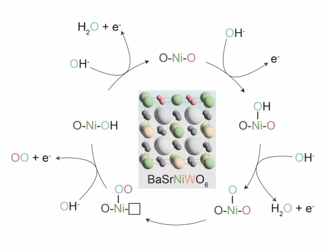 lec_highlight_february_2025