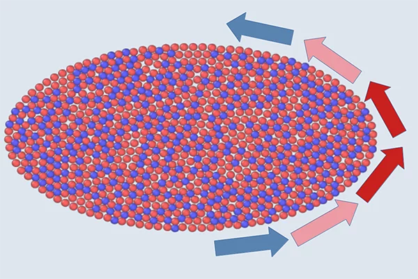 Dynamic transitions