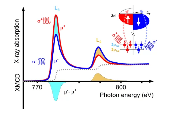 Two XA spectra recorded with circularly polarized x-rays