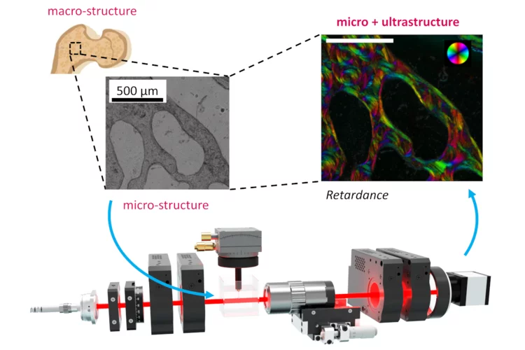 Polarisation Microscopy, thumbnail