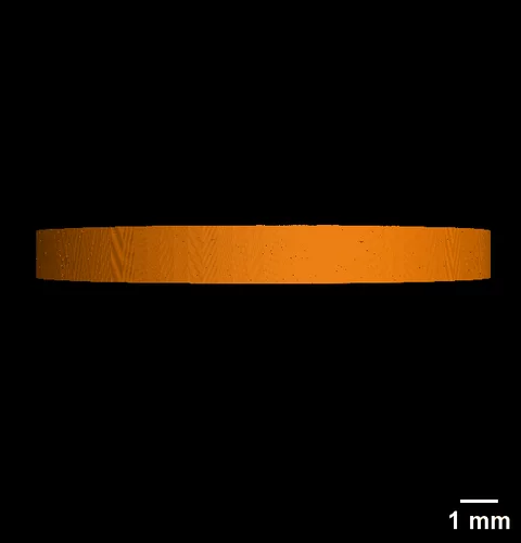 stomcat first light tomo with scale bar