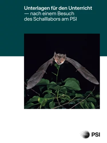 Nachbearbeitung Schallwellen