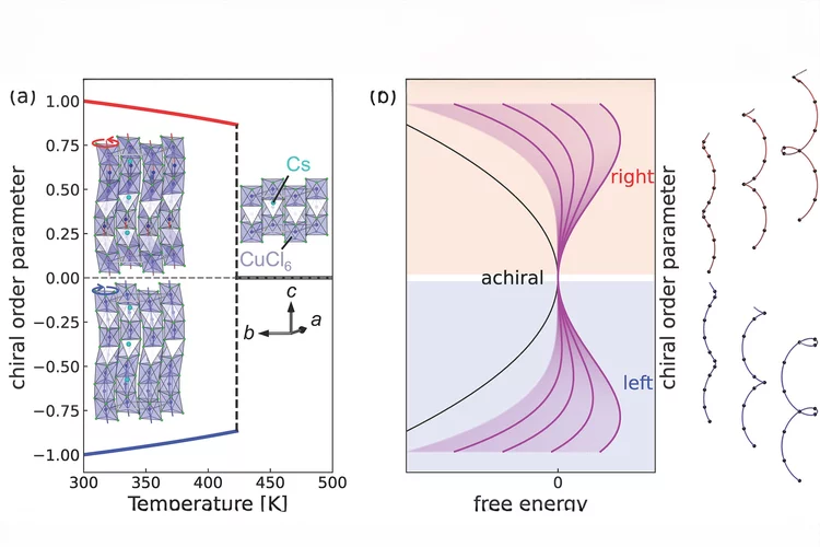 Tuning chirality amplitude at ultrafast timescales in chiral CsCuCl3